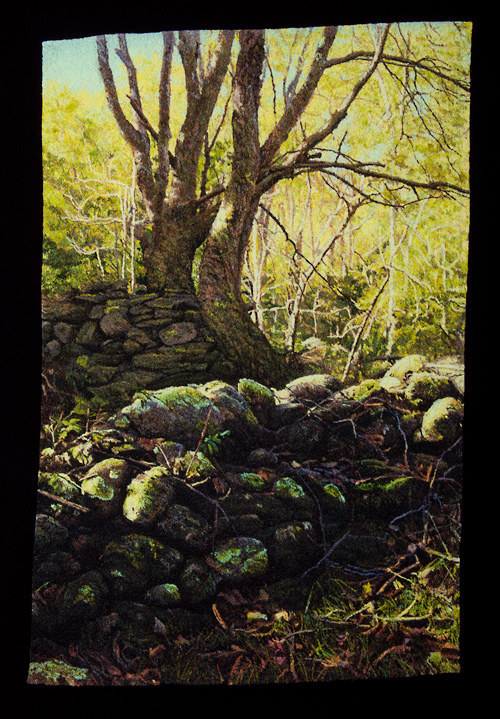 TwoWallsInTheForest1
