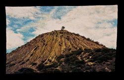 hill-with-tree-thmb